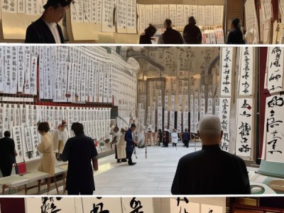 合肥市书法名家前十排行榜，翰墨飘香，艺术传承风采