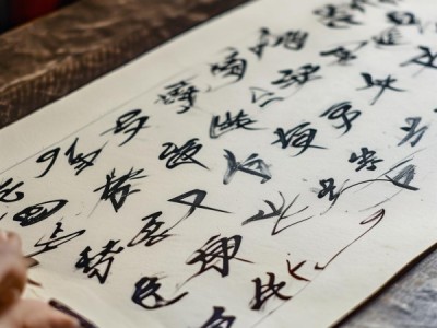 硬笔书法4级考试揭秘，深度挖掘书法艺术魅力