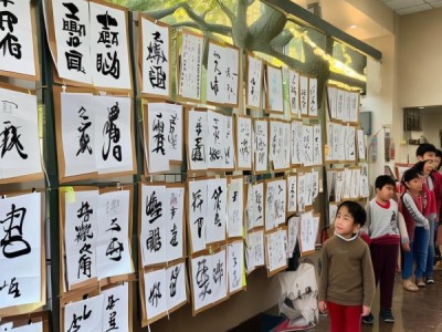 春联书法，生活艺术修养的传承之美
