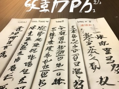 CCPT书画等级字帖6-9级，硬笔书法的艺术传承与创新之旅