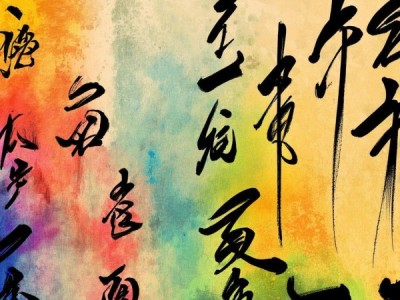 书法艺术新篇章，协会动态展现传承与创新共融