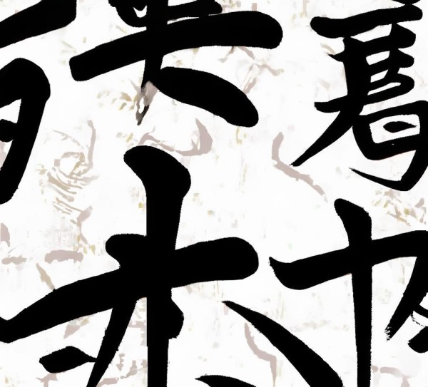 动态图中的独特书法艺术，乱中求美之谜,动态图中的独特书法艺术，乱中求美之谜,书法,生活方式,第1张